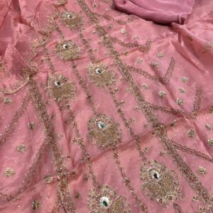 Heavy Handwork punjabi suit